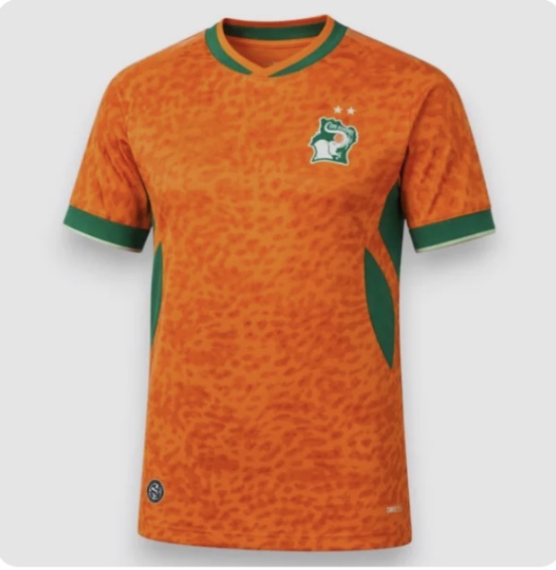 Camiseta Costa de Marfil Primera Equipación 26/27