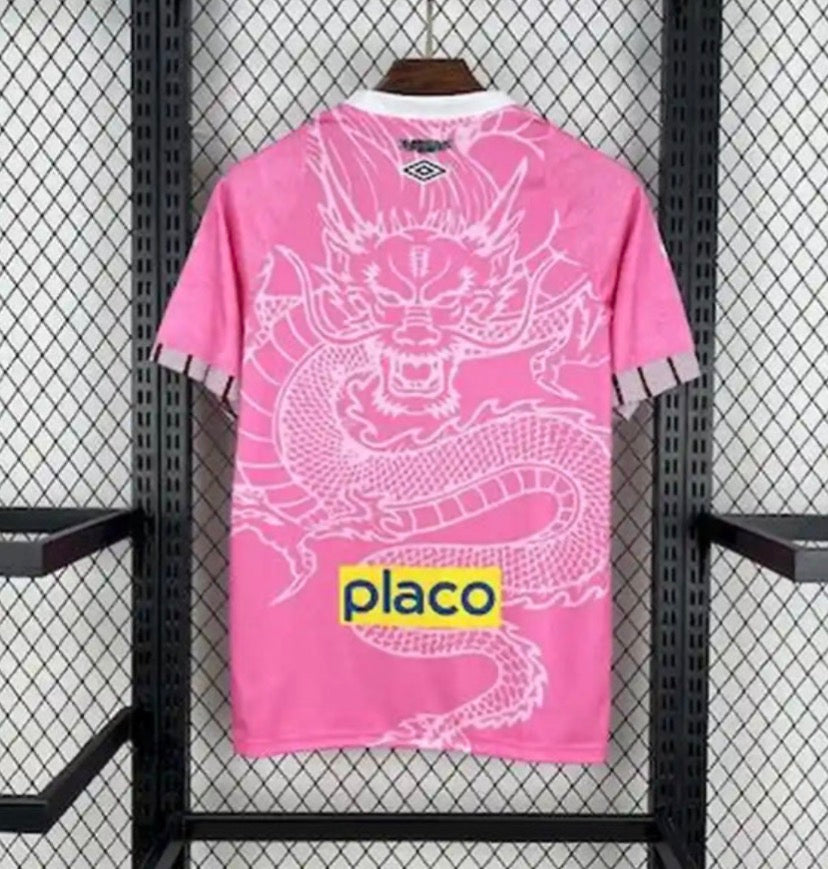 Camiseta Santos Especial Equipación 25/26