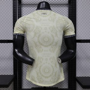 Camiseta Argentina Especial Equipación 26/27